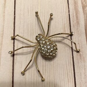 Spider pin – cute for Halloween!